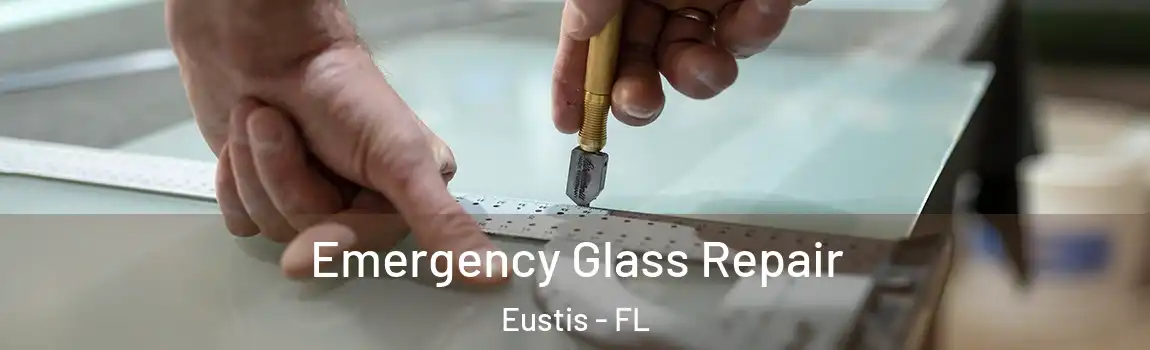  Emergency Glass Repair Eustis - FL