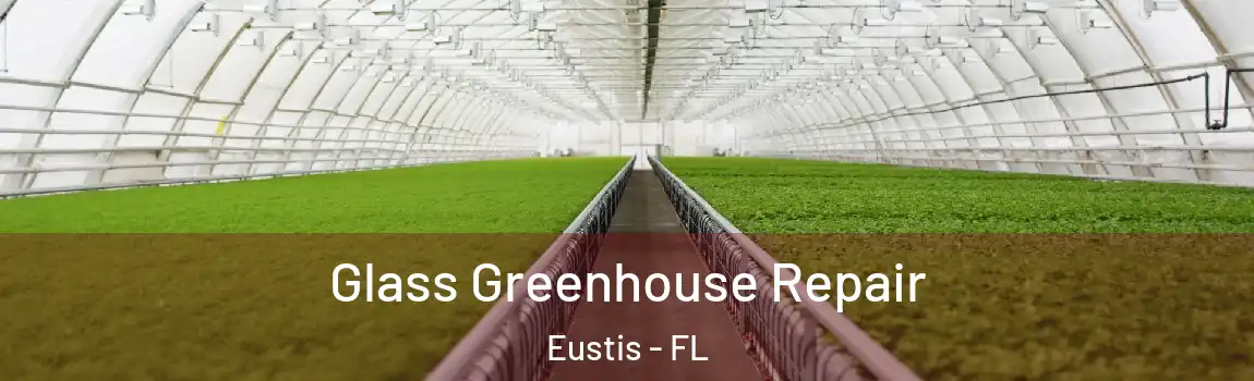  Glass Greenhouse Repair Eustis - FL