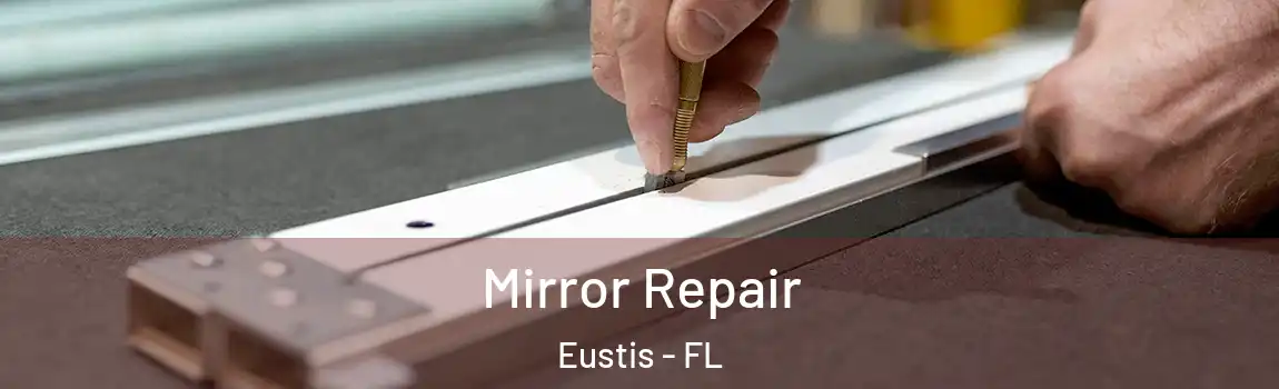  Mirror Repair Eustis - FL
