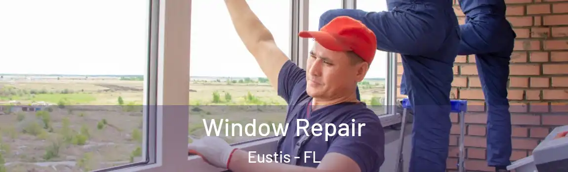  Window Repair Eustis - FL