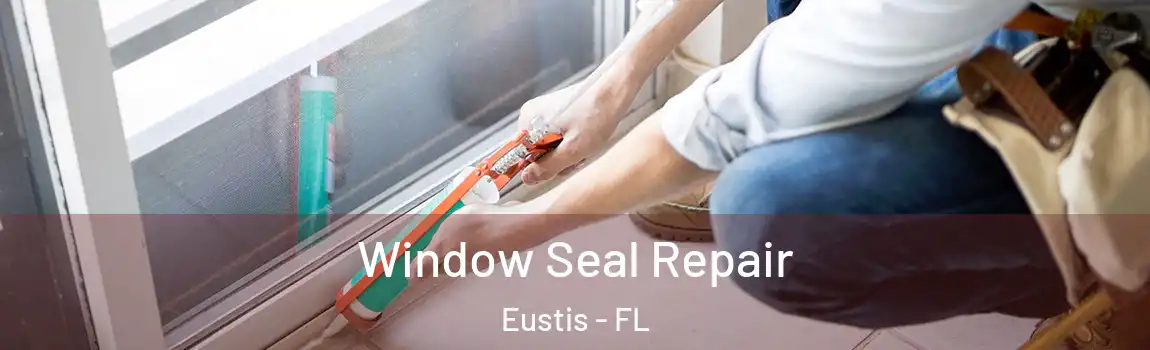  Window Seal Repair Eustis - FL